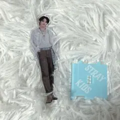 straykids リノ アクスタ