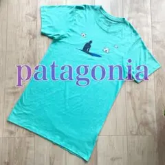 patagonia パタゴニア　Tシャツ　メンズ　Sサイズ　スリムフィット