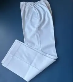 Item thumbnail for item 989b5637-0305-4106-984b-93c31efcf62d