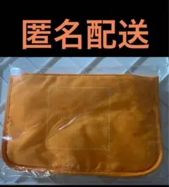 匿名配送 新品 超特急 RiB　ハル ペンライトポーチ Bag In Bag