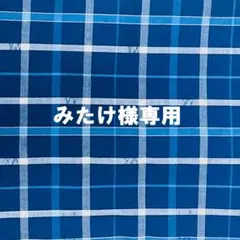 【みたけ様専用】リメイク用 練習着用 チェック 青 白 ウール 着物 しつけ付き