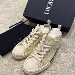 DIOR サイズ42 スニーカー　シューズ　オブリーク　トロッター　メンズ　ロゴのサムネイル