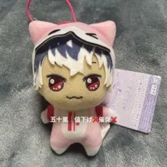 新品 アイナナ ドンぬい 太鼓の達人 きらどるぬいぐるみ Re:vale モモ