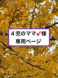 ４児のママ様・:*+.専用ページ