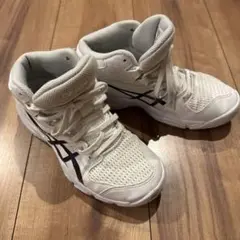 23.5