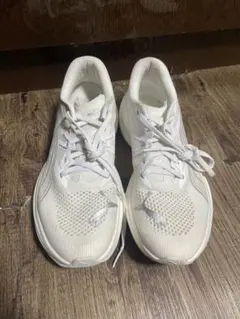 ディヴィエイトニトロ　24.5