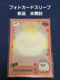 ★新品未開封★TXT プルバトゥ フォトカード スリーブ セット