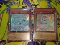 マルチャミー・フワロス、マルチャミー・ニャルス コレクターズレア1枚ずつ