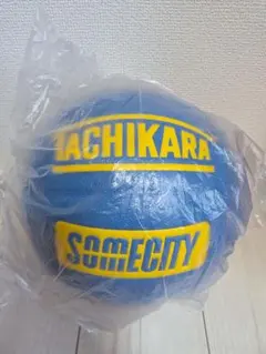 全新未使用 tachikara somecity ball