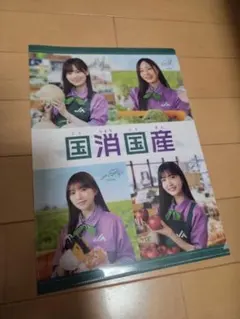 乃木坂　クリアファイル