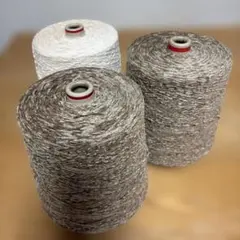 Item thumbnail for item 7fdf427e-0795-4fcf-95cc-f31983e756e1