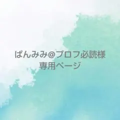 ぱんみみ@プロフ必読様 専用ページ