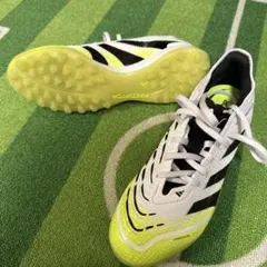 Item thumbnail for item eeb24cb5-c9cf-4437-9280-ace48b714b69