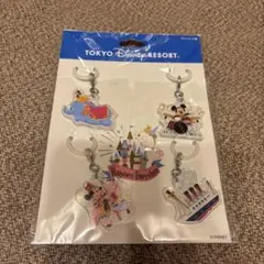 東京ディズニーリゾート アクリルチャーム 4種セットのサムネイル