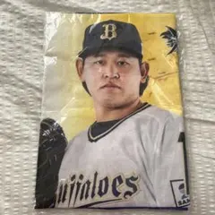源田壮亮 タペストリー 缶バッジセット 西武ライオンズ - メルカリ