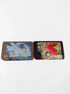 ポケモンメザスタ ルギア メガニウム 2枚セット