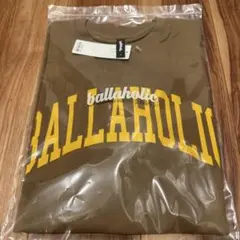 Item thumbnail for item 3ba178bf-d983-4529-b409-e5d041165e81