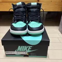 NIKE Air Jordan 1 Retro High OG 9