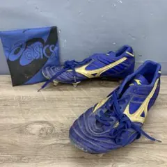 入手困難】Mizuno α Azure Blue 26.0ワールドカップ限定 - メルカリ