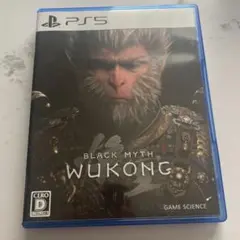 黒神話悟空 ps5