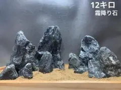 2026年最新】龍王石 親石の人気アイテム - メルカリ