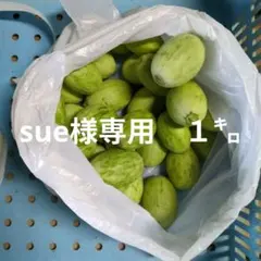 sue様　専用