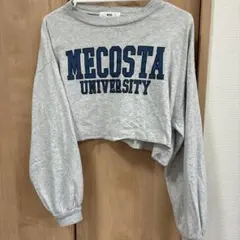 WEGO MECOSTA UNIVERSITY 長袖カットソー グレー