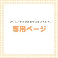 ちゃみ様 リクエスト 3点 まとめ商品