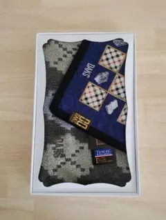 Item thumbnail for item 2a51306b-c5e3-49b7-bb9a-ac0862578ad8