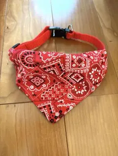 Item thumbnail for item 393008de-a1ea-4bc1-bd04-cdc77260ad07