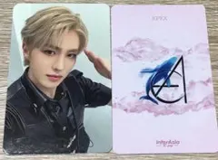 EPEX イペ ヨントン トレカ interAsia AYDEN エイデン