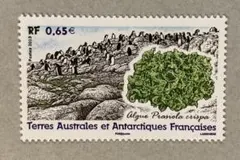 Item thumbnail for item 8919fe46-dbff-4613-966b-17331db865e6