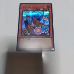遊戯王　ブラックマジシャンガール　シークレットレア　1枚