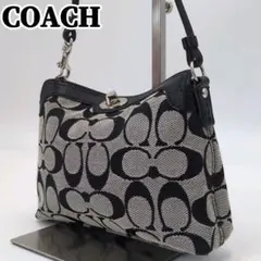2026年最新】COACH コーチ シグネチャーアクセサリーポーチの人気