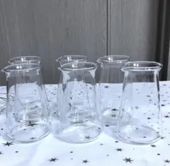 【新品セット】 コニカルビーカー 目盛付き 測定 実験 100ml 6個 ガラス