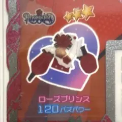 ローズプリンス、トップス⭐︎3【同梱50円】