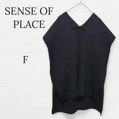 638【センスオブプレイス】Vネックニットベスト 変形スリット ブラック 黒 Ｆ