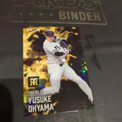 Item thumbnail for item 5e47ee13-deec-4d0a-ab73-34a579085290