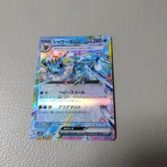 シャワーズex RR マキシマムベルト　７枚セット　テラスタルフェスex