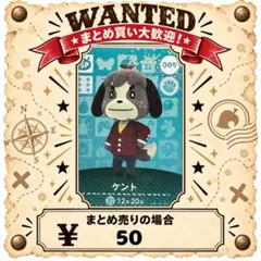ケント　009 amiibo あつ森　アミーボカード ③