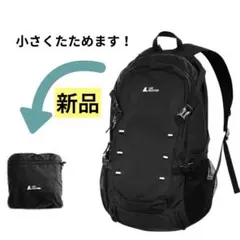 新品 LAD WEATHER ラドウェザー パッカブルバックパック リュックのサムネイル