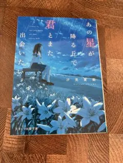 あの星が降る丘で、君とまた出会いたい。