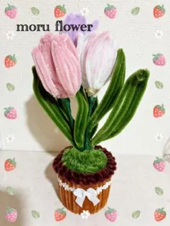 Item thumbnail for item 24776a4b-98c2-4cab-9ad5-8390eceab8cb