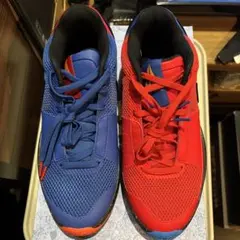 28cm Nike Ja 1 Hunger ジャ1 ミスマッチのサムネイル