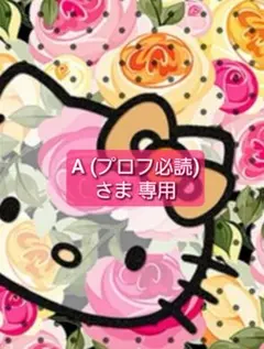 2026年最新】プロフ必読の人気アイテム - メルカリ