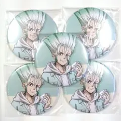 千空 缶バッジ まとめ売り 2025年最新】dr.stone 缶バッジ 千空の人気アイテム - メルカリ