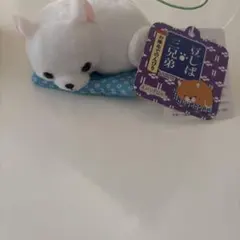 豆しば三兄弟　しらたまのサムネイル