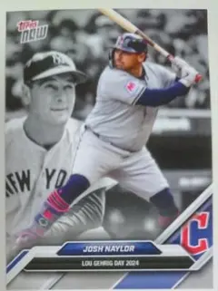 Item thumbnail for item 24b57a50-9169-4882-a398-bb62650c9ca1