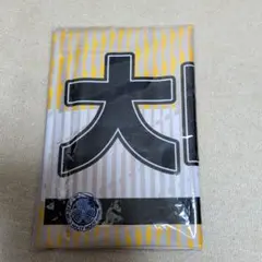 水戸ホーリーホック タオル