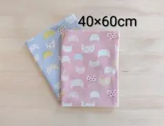 Item thumbnail for item a4fce772-fbb7-4276-b2c0-2a7f2c809742